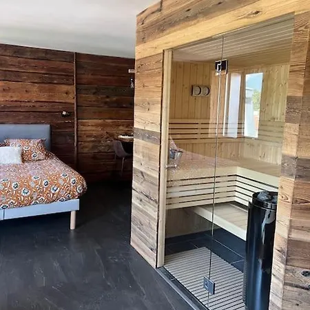 Chalet Avec Sauna 3* Apartment